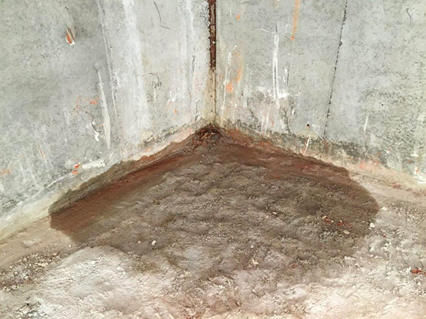 1-detection-des-infiltrations