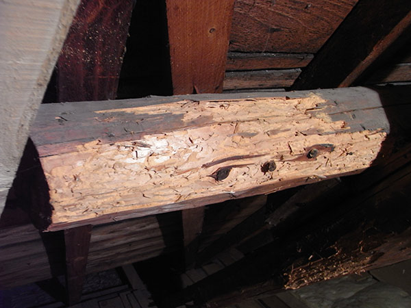 1-inspection-et-diagnostic