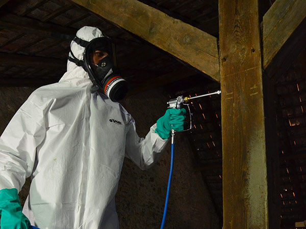 4-traitement-par-injection-larve-du-capricorne 4-traitement-par-injection-larve-du-capricorne