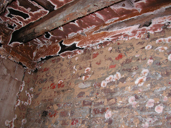 4traitement-curatif-par-injection