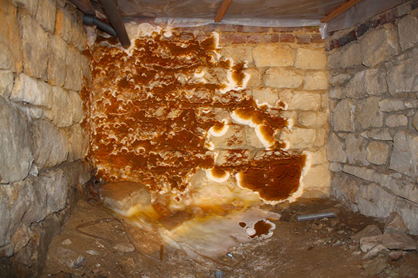 vignette-homepage-et-hdp-merule vignette-homepage-et-hdp-merule