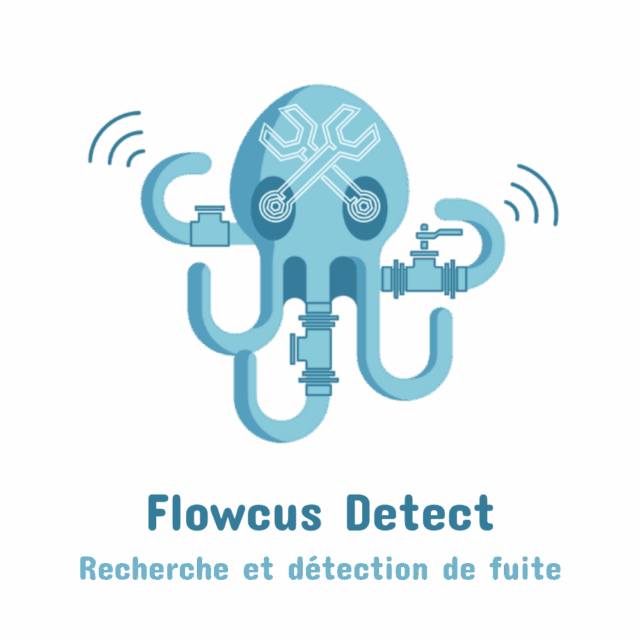flowcus-detect